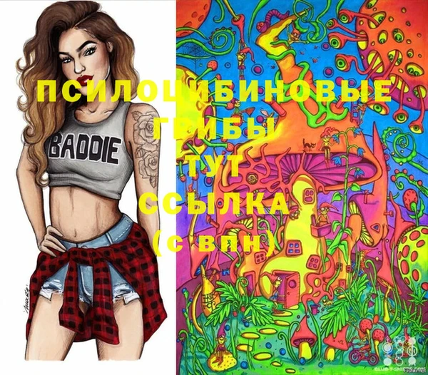 2c-b Волосово