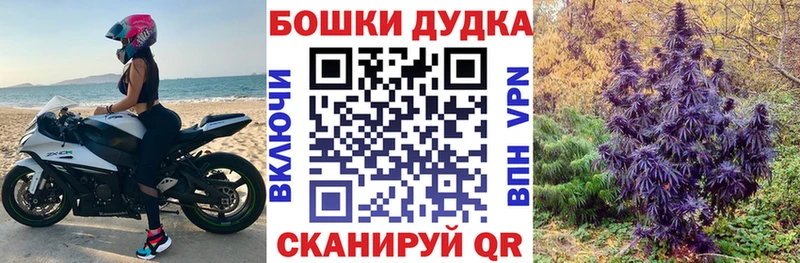 Купить где  Нарткала  Марихуана план 